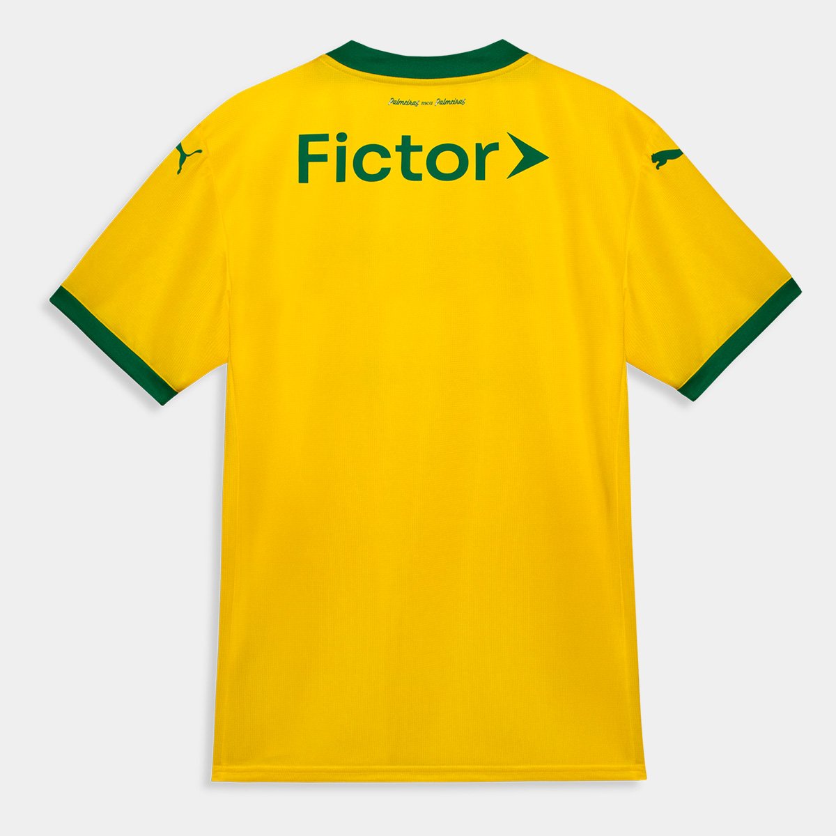 Palmeiras Home Jersey 25/26
